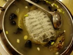 -丁老爷子苏香圆