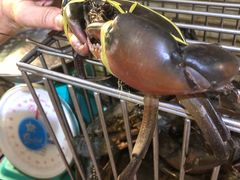-纽顿熟食中心