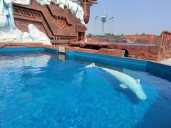 -秦皇岛乐岛海洋王国