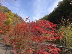 -丹东天桥沟景区