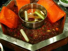 -蜀九香火锅(九眼桥店)