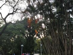 -人民公园(罗湖区)