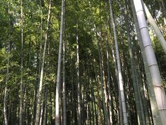-南京东郊国宾馆