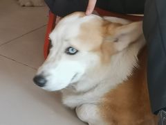 -平行世界·猫咖(首经贸店)