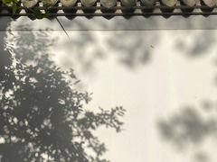 -秋霞圃