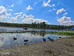 -去茶去餐厅(中央大街店)