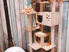 -小时光咖啡馆(开森度假森林店)