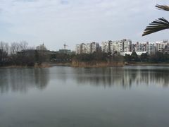 -新江湾城公园