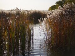 -野鸭湖国家湿地公园