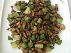 椒盐蚕蛹-珠江餐厅