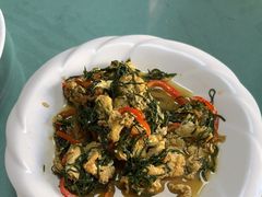 -煲来饱去冷水鱼