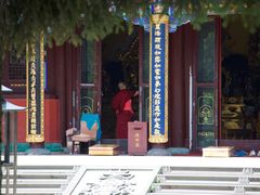 -护国法轮寺