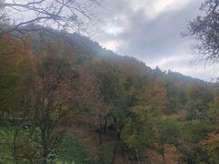 -广州市石门国家森林公园