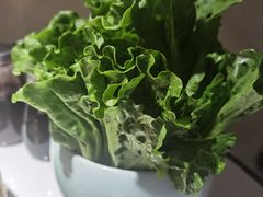 生菜-领鲜天下·焗海鲜·花胶鸡(天目里店)