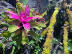 -海合安武汉极地海洋公园