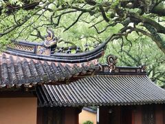 -普陀山风景名胜区-法雨禅寺