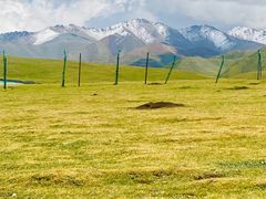 -祁连山草原