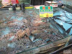 渔民新村&nbsp;6-渔民新村(番禺总店)