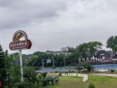-自贡恐龙博物馆