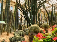 -石家庄市植物园