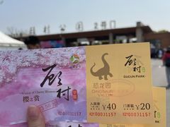 -自然谷恐龙园