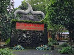 -海口火山口国家地质公园