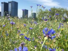 -白塘生态植物园