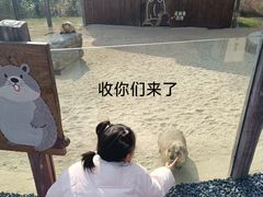 -茅山东方盐湖城景区