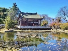 -洱海月湿地公园