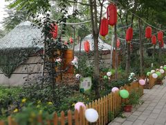 -草根堂农场