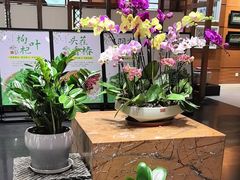 -黔蘑菇四季餐厅(观山湖店)