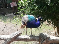 -黔灵山公园-南门售票处