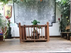 -锦上中式酒馆(南内环店)