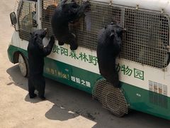 -多彩贵州城极地海洋世界