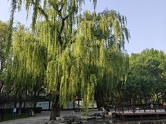 -玲珑塔公园