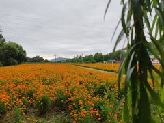 -大连铭湖国际观光牧场