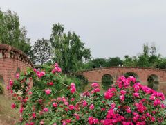 -白鹭湾湿地公园