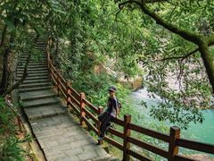 -广州白江湖森林公园