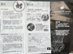 -怀托摩萤火虫洞