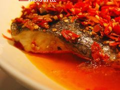 -千稻剁椒大鱼头(CityOn熙地港店)