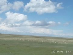 -青海湖国家重点风景名胜区
