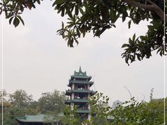 -桂湖森林公园