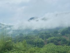 -水墨汀溪风景区