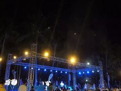 -渔家火锅·海鲜自助餐·演艺(亚龙湾天域酒店)
