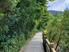 -广州市帽峰山景区