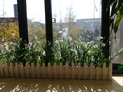 -长乐面庄(康普雷斯B座店)