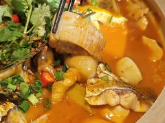 -魏铭鱼头捞饭(晋阳路店)