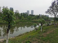 -桂溪生态公园
