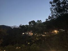 -武陵山森林公园