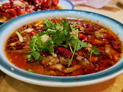-杨氏青龙虾·羊蝎子(珠江路店)